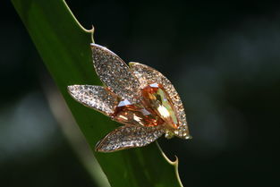 歌詩莉飾品 麥秸畫藝術(shù)點亮店鋪裝修，展現(xiàn)獨特產(chǎn)品魅力